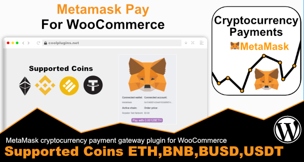 Pay with metamask pro